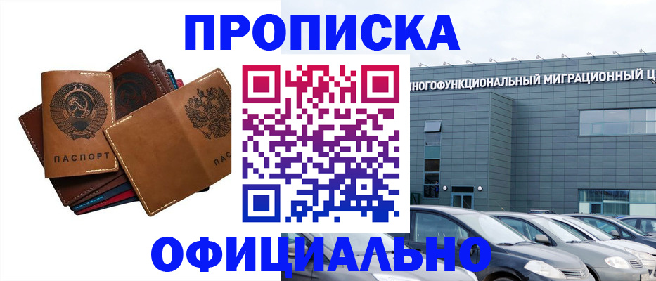 прописка в квартире в Бабаево